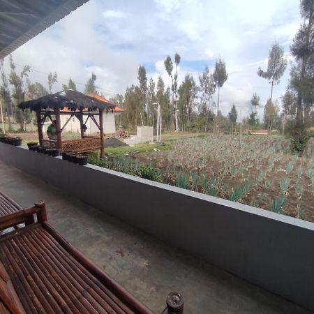 Elen Homestay By Abm Μπρόμο Εξωτερικό φωτογραφία