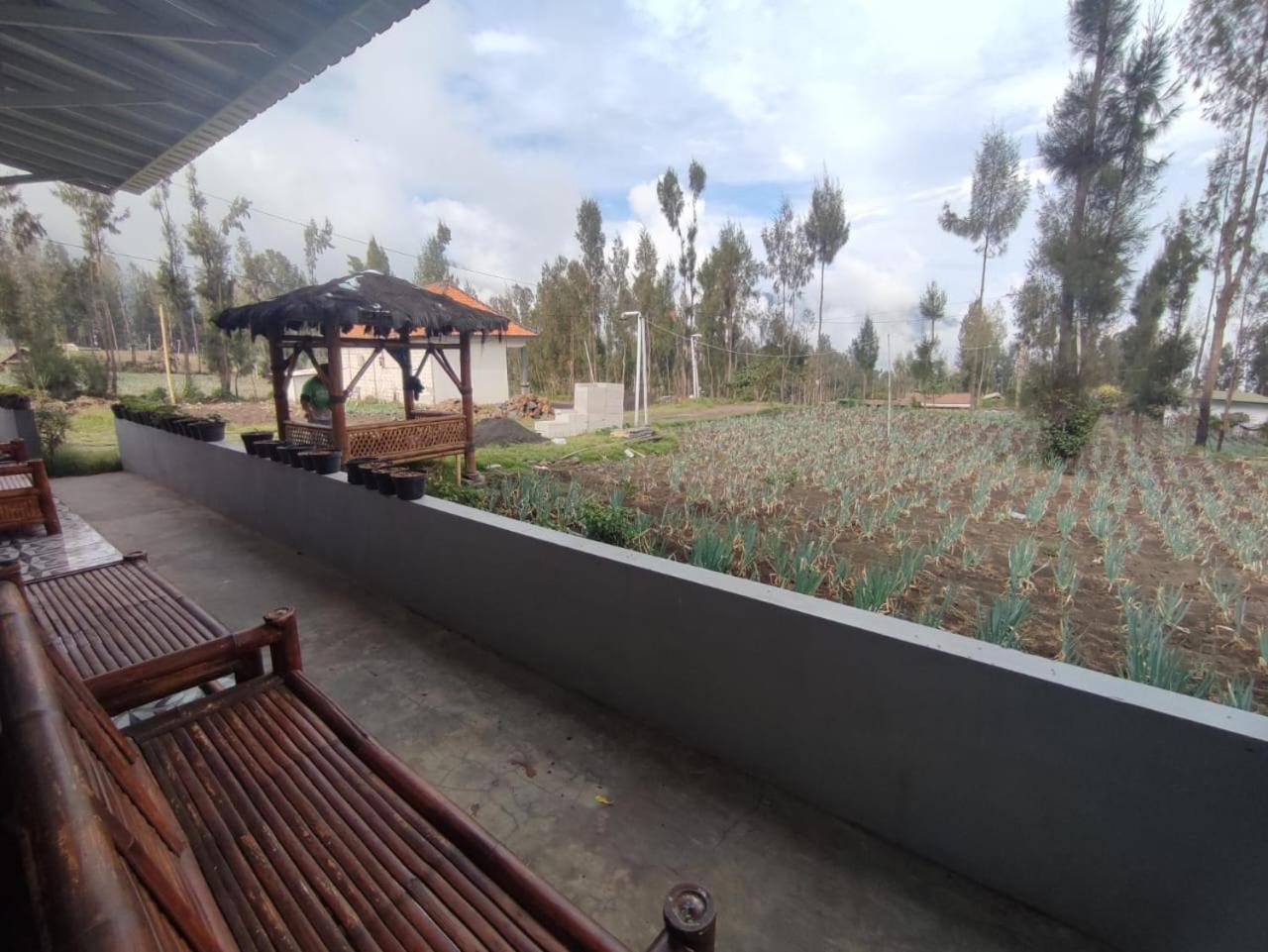Elen Homestay By Abm Μπρόμο Εξωτερικό φωτογραφία