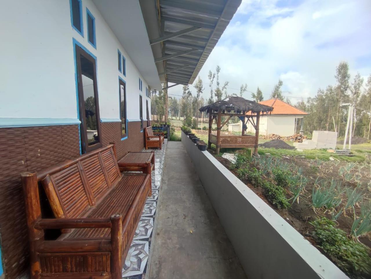 Elen Homestay By Abm Μπρόμο Εξωτερικό φωτογραφία